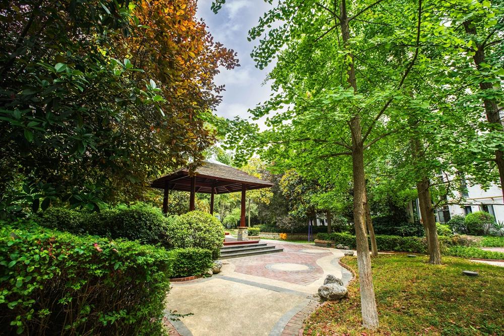 首页|k1体育十年品牌值得信任