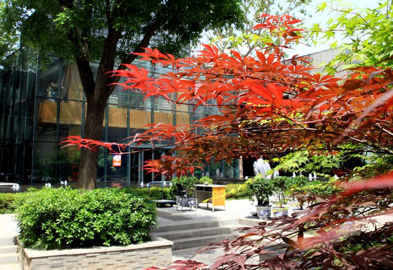 首页|k1体育十年品牌值得信任