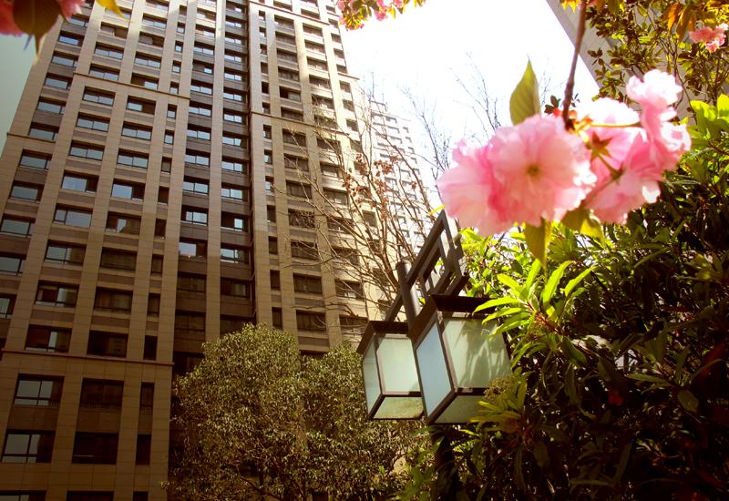 首页|k1体育十年品牌值得信任