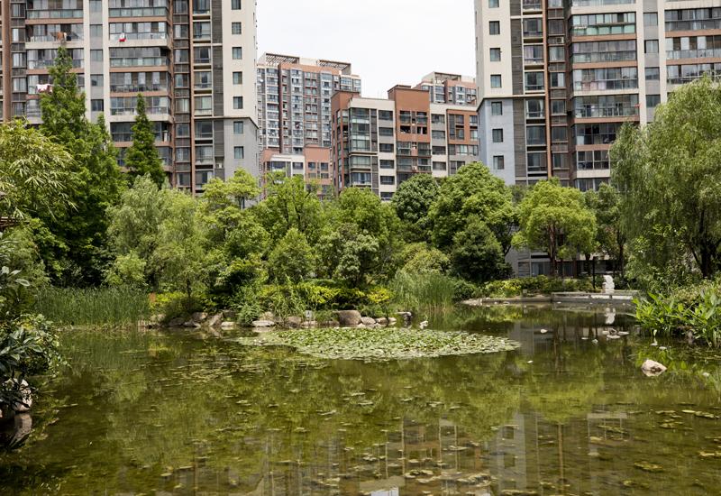 首页|k1体育十年品牌值得信任