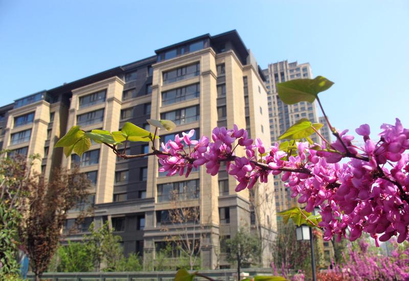 首页|k1体育十年品牌值得信任