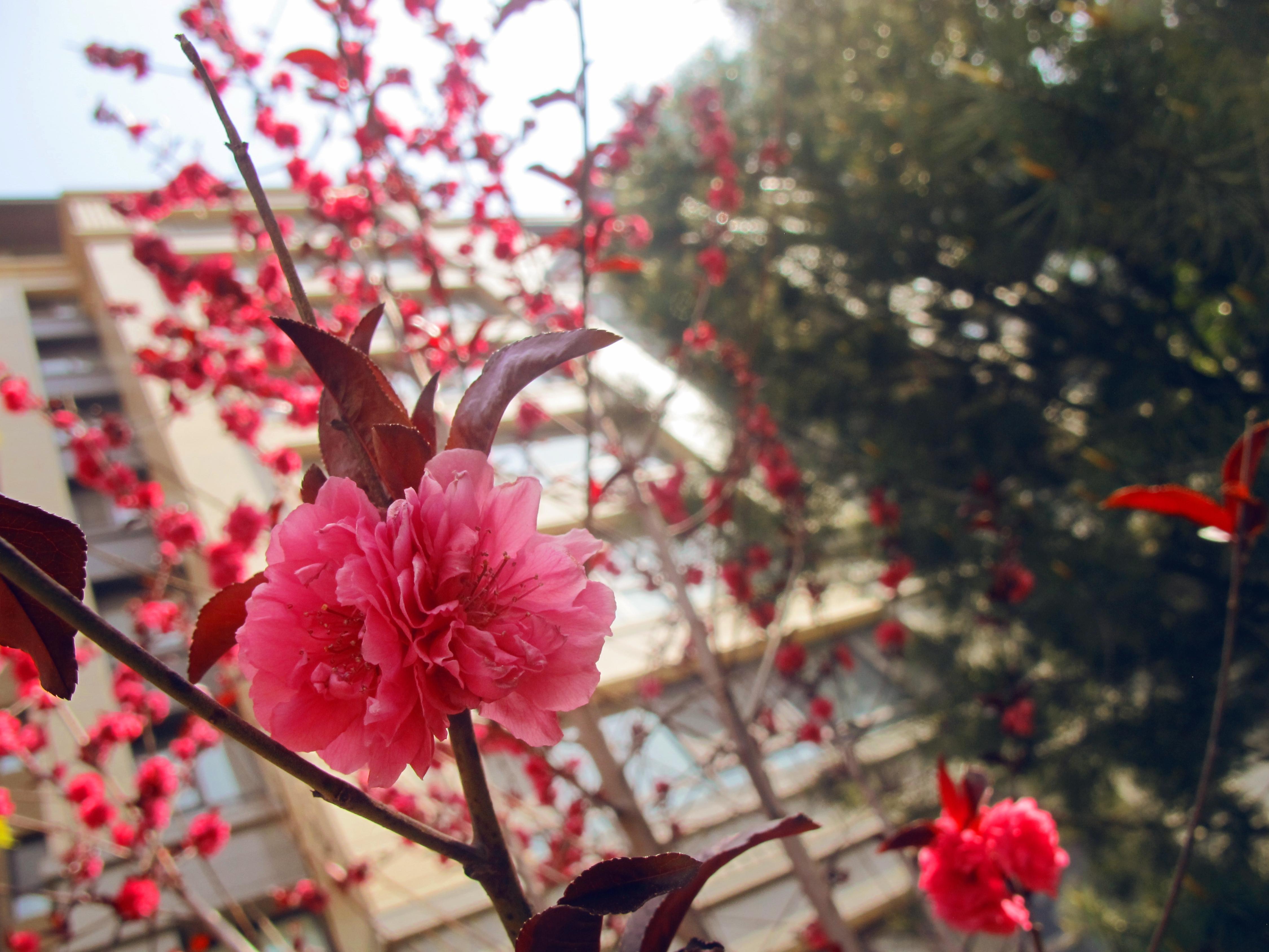 首页|k1体育十年品牌值得信任